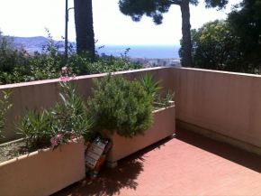 Relaxing Place with wonderful view...calme avec vue magnifique sur la baie des anges, mais en campagne à 12 minutes de la Promenade des Anglais